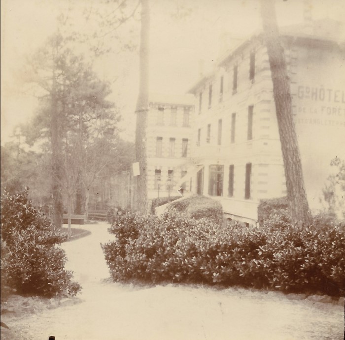 Hôtel Forêt