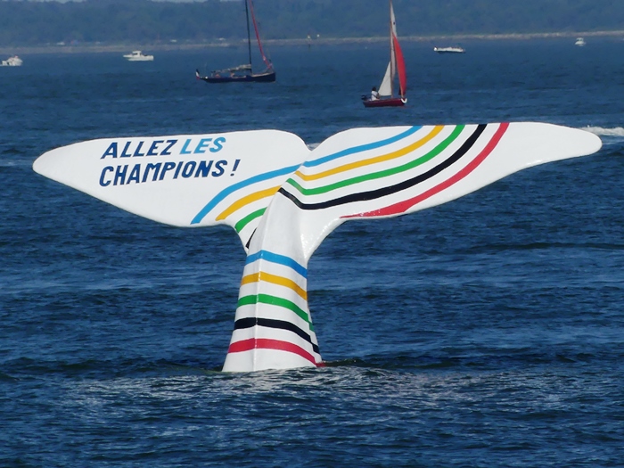 Baleine 2024