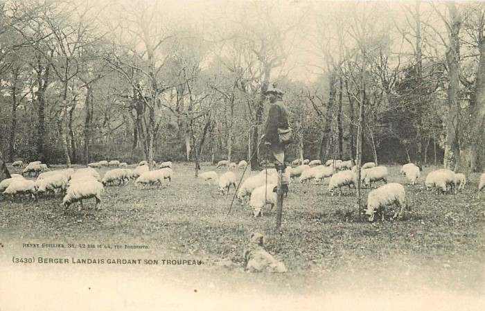 Berger Landais