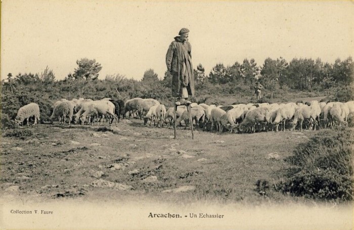 Berger landais