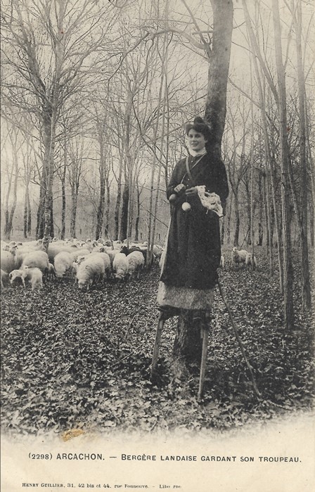 Bergère landaise