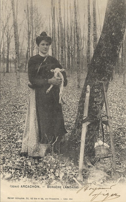 Bergère landaise