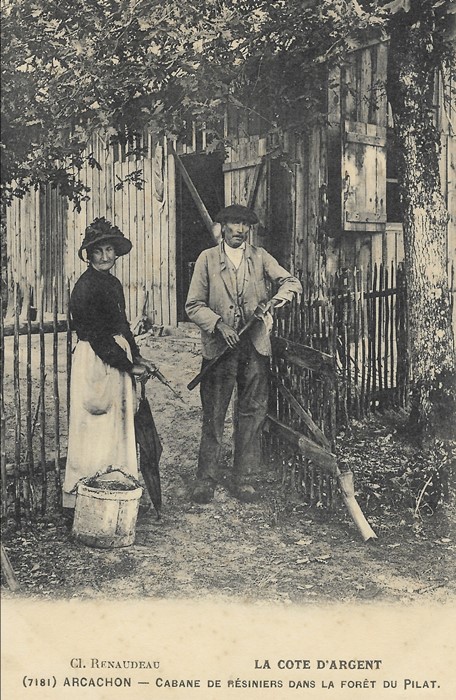 Cabane de rsiniers