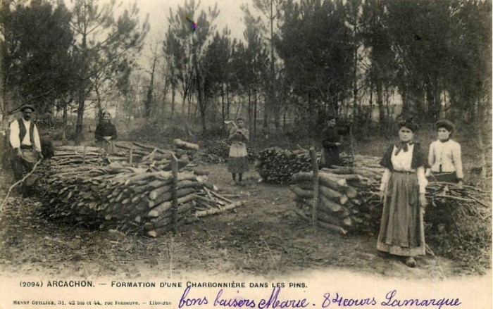 Charbonnier forêt