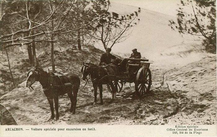 Voiture à sable forêt