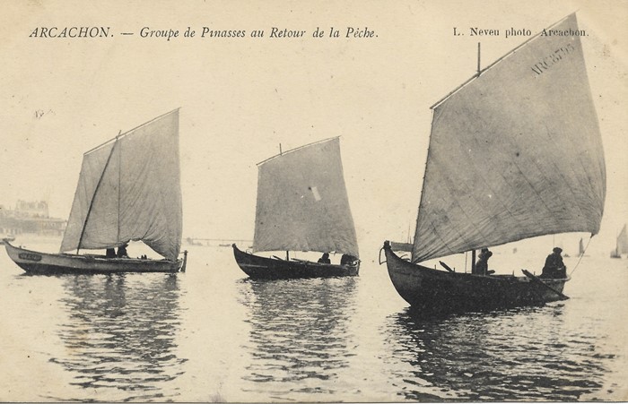 Retour de pêche en pinasses