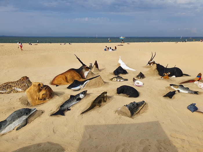 Animaux dans le sable 2022