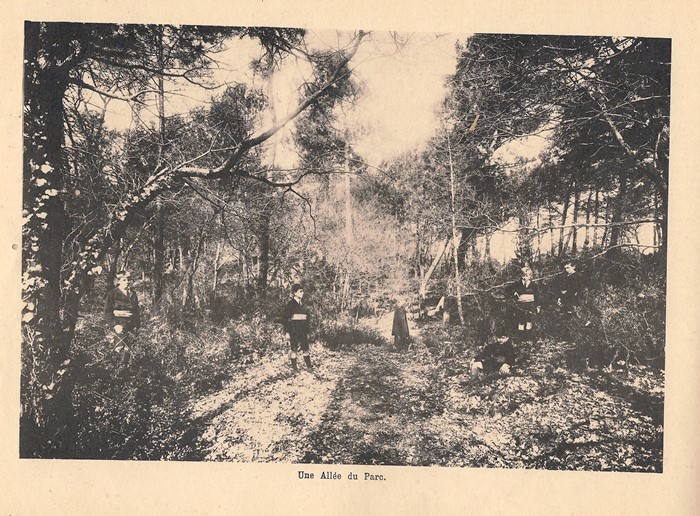 Allée St Elme
