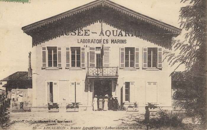 Aquarium MD