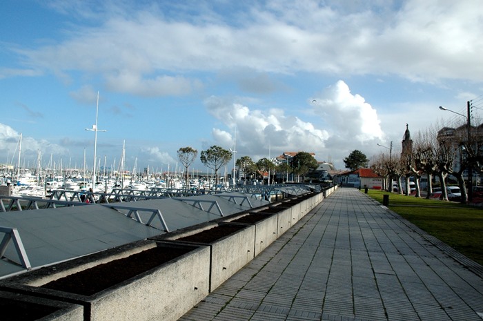 Le Petit Port 2011