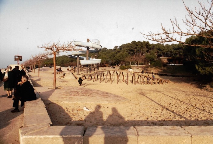 Les Dinosaures et le Toboggan 1991