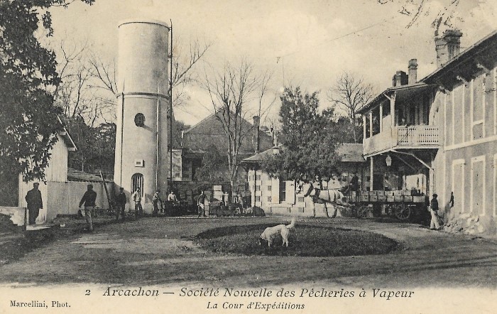 SNPV : cour d'expédition