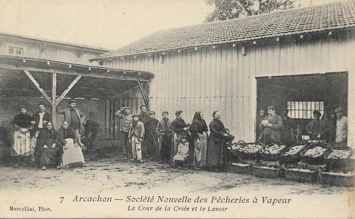 SNPV : Criée et lavoir