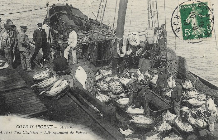 Retour de pêche