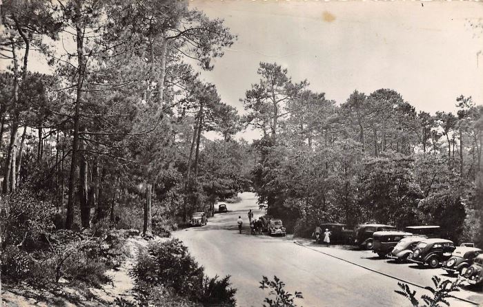 Allée du Parc
