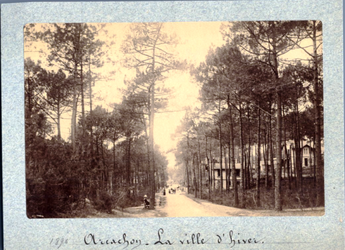 Allée des Dunes 1896