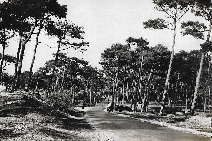 Allée du Parc