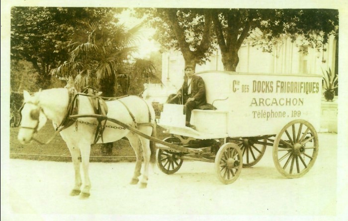 Docks frigorifiques