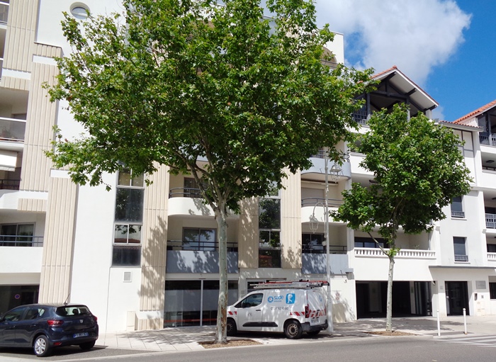 Résidence Le Consul