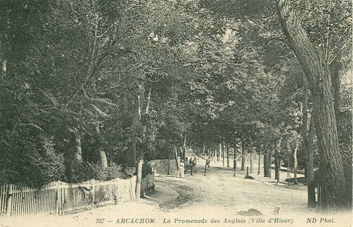 Promenade des Anglais