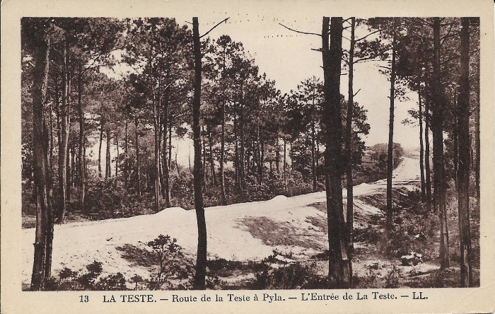 Route du Pyla à La Teste
