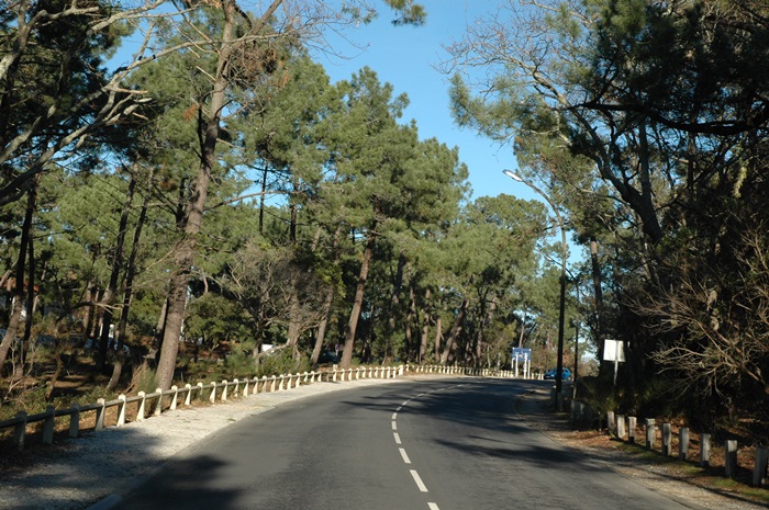 Route du Moulleau 2011