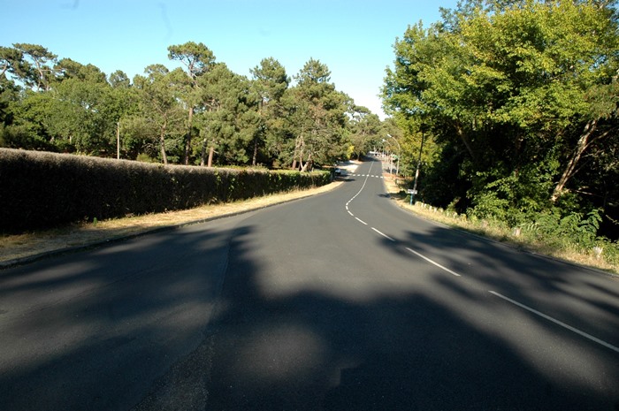 Avenue du Parc 2011