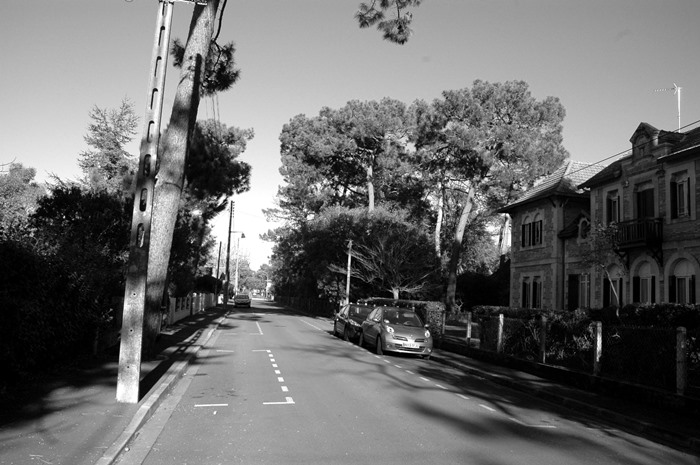 Avenue Saint-Dominqiue 2011