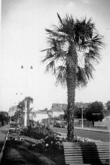 Septembre 1940 Bd Gounouilhou