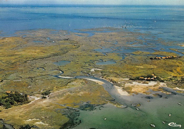 Ile aux Oiseaux 1975