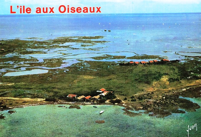 Ile aux Oiseaux
