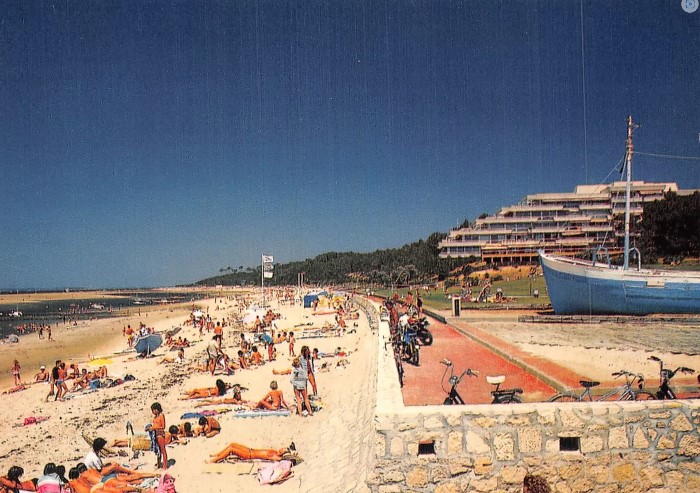 Panoramic 1980
