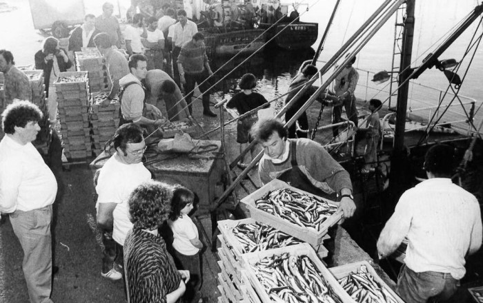 Port de pêche 1989