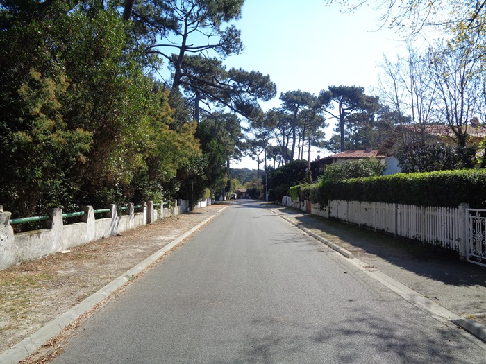 Allée des Roses 2022