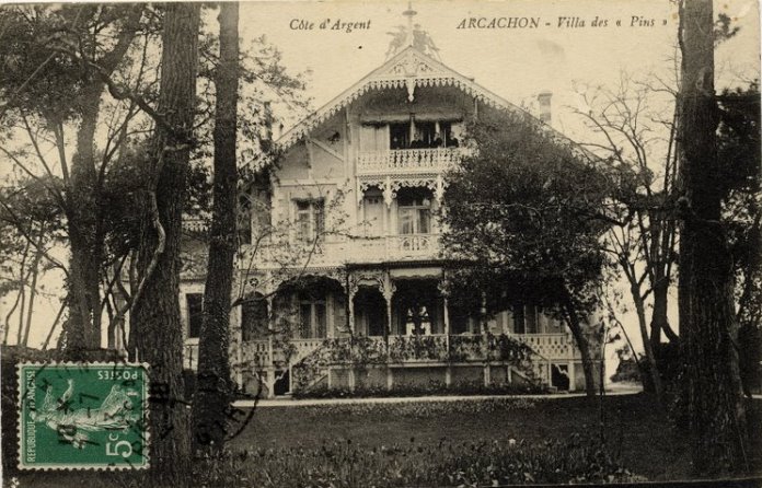 Les Pins boulevard de l'Ocan