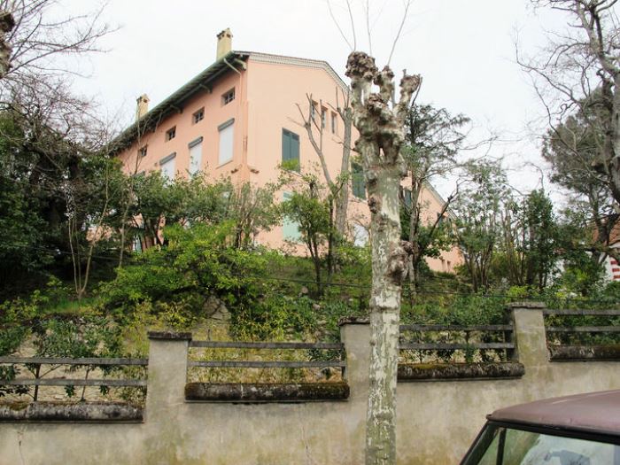 Bellevue Sympathie 2013