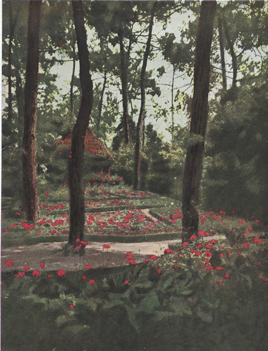 Casa Sylva : le Jardin