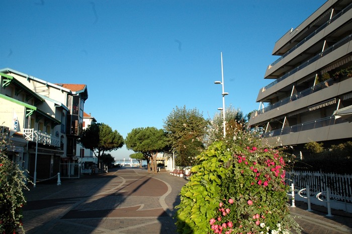 Rue Notre-Dame-Des-Passes 2011