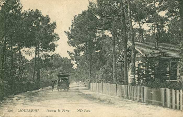 La Forêt