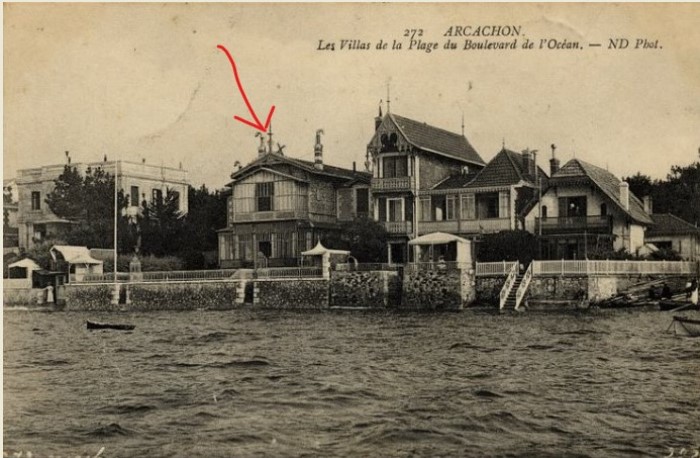 Les Algues côté Bassin