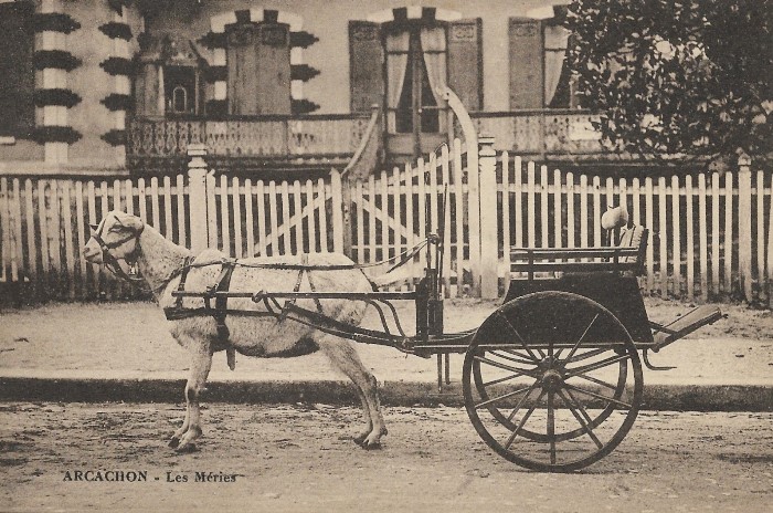 Les Mérics Attelage