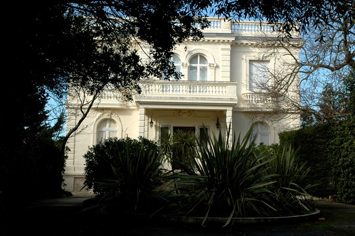 Les Mimosas Moby Dick