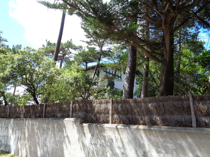 De l'allée des Grives