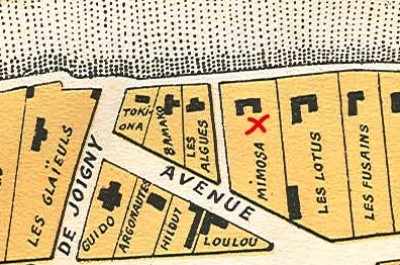 Mimosa Moby Dick Ducos 1928