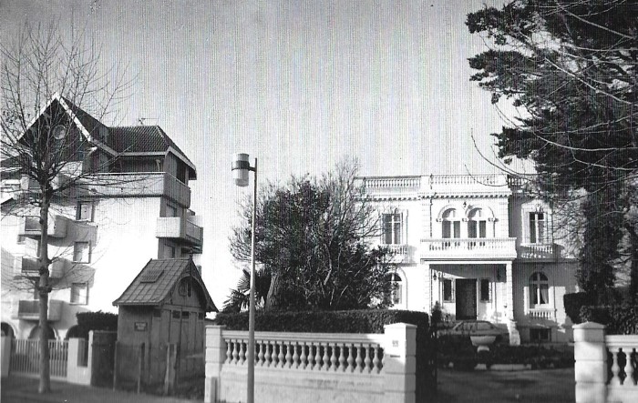 Moby Dick Les Mimosas