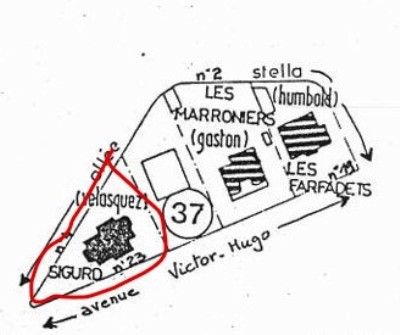 Sigurd Ilot 37