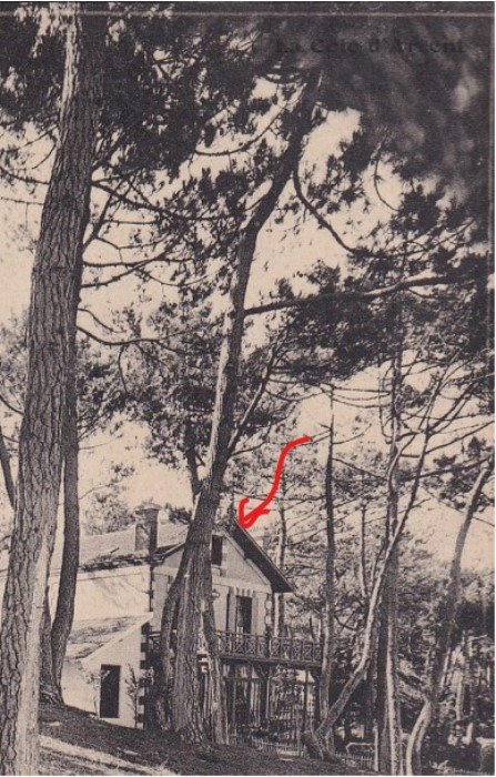 Thérèse Moulleau Bassin (Amabaita à gauche)