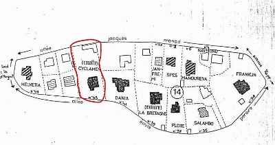 Cosette Cyclamen �lot 14