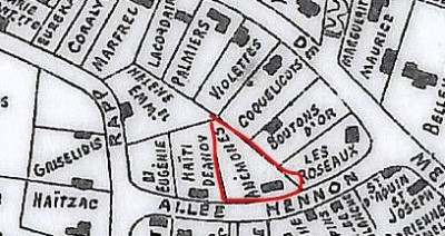 Les An�mones VH PG 1922