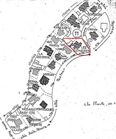 Les Cl�matite �lot 11